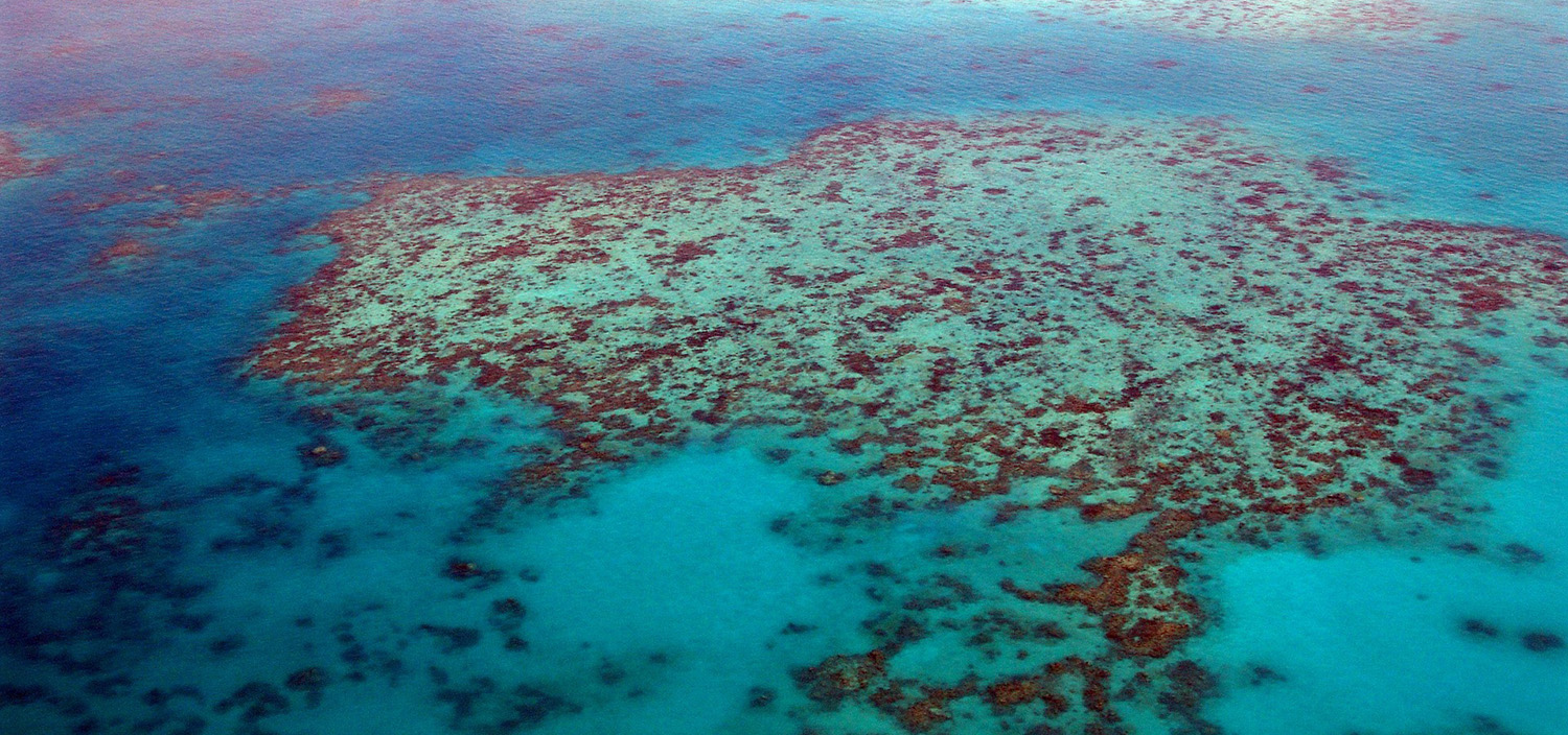The Great Barrier Reef yacht charter view over the ocean